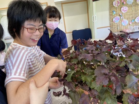 写真