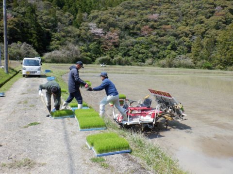 写真